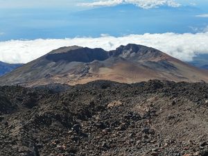 Supporting image for story: Cooling after volcanic activity ‘may have triggered mass extinction event’