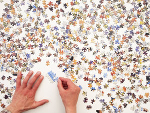 Supporting image for story: Being a big kid: The joy of jigsaws and love of Lego