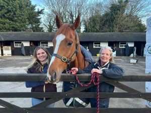 Supporting image for story: Racehorse given royal approval enjoys socialising with owners down the pub