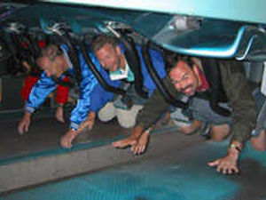 Supporting image for story: Speed daters set for Alton Towers