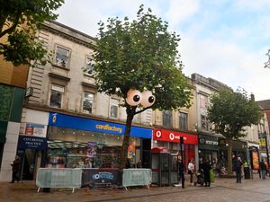 Supporting image for story: Meet the friendly monsters that have taken over Wolverhampton – take part in the trail to find them all