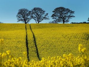 Supporting image for story: New laws to reward farmers for boosting wildlife and tackling climate change