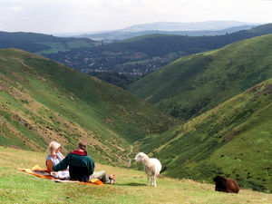 Supporting image for story: Shropshire Star comment: Tourism is thriving but can’t stall