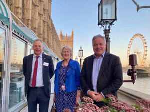 Supporting image for story: MP takes on role as chair of tree and woodland group