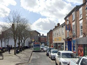 Supporting image for story: Trees in Shropshire market town centre could be removed after roots create trip hazards