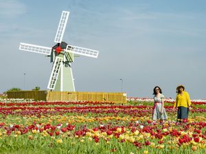 Supporting image for story: ‘Fairly chilly’ bank holiday for VE Day events after record temperatures