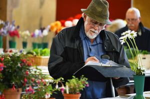 Show secretary Glyn Lucas checking the exhibits. photo Eddie Brown