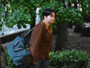 Supporting image for story: Eco-activists jailed for pouring soup over Vincent van Gogh’s Sunflowers