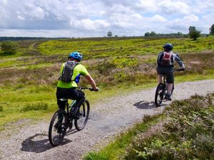 Supporting image for story: ‘Protect Cannock Chase’ call as visitor numbers set to soar by three million a year 