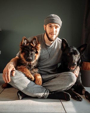 Daniel, Zeus and Thor 