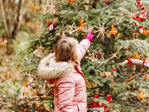 Supporting image for story: School children deck woodland 'tree trail' with natural Christmas decorations