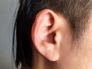 A person's ear, seen from the side