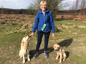 Supporting image for story: More than just a best friend: What it's like to be a puppy socialiser