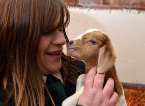 Sarah, a one-week-old kid