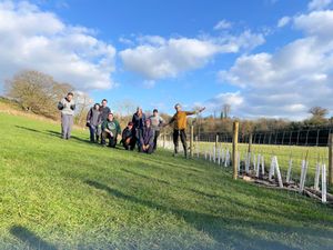 Supporting image for story: Volunteers wanted for ambitious 3000 tree-planting project on community-run farm