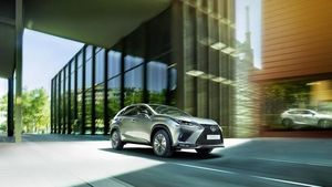 Supporting image for story