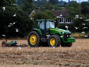 Supporting image for story: Rhodes on a shortage of guns, a surfeit of porn and criminals who do a runner