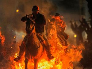 Supporting image for story: Horses leap through flames and pets blessed in honour of patron saint of animals