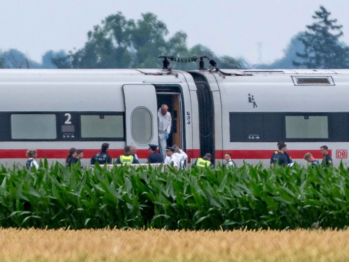 Four people injured in hammer attack on German train, police say