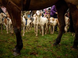 Supporting image for story: Trail hunting set to be banned for fear it is a ‘smokescreen’ for harm
