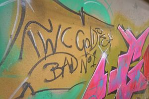 Goldie's tag