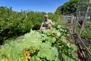 Plot holder Leon Murray at Leegomery Allotments, Telford