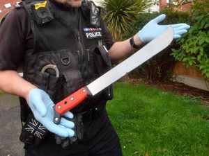 Supporting image for story: Star comment: Ban machetes - it's madness young men can pick them up to arm themselves