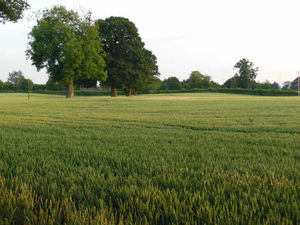 Supporting image for story: Plan for 300 homes on edge of Shrewsbury approved