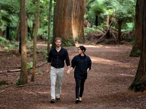 Supporting image for story: Lifesize cakes of Harry and Meghan to go on display
