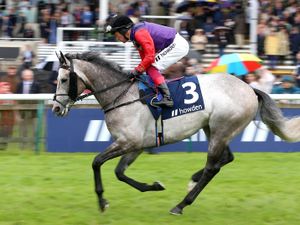 Supporting image for story: Photo-finish denies King coronation day racing victory