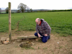 Supporting image for story: Lambs drown after well lid is removed