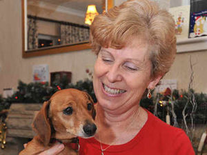 Supporting image for story: Dachshund slims down to win prize