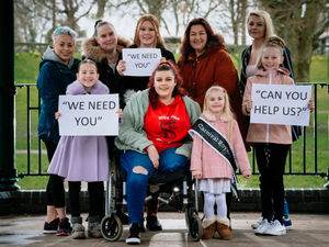 Supporting image for story: Appeal to keep Willenhall Carnival a-'float'