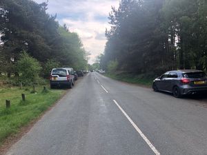Supporting image for story: Parking charges planned for Cannock Chase, with some laybys to close