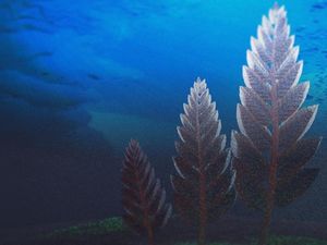 Supporting image for story: Rangeomorphs, the earliest animals on Earth, may have been shape-shifters