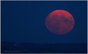 Jody Wilson snapped the hazy rise from the Oswestry hill fort
