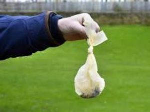 Supporting image for story: Bigger fines for dog owners who don't clean up after their pets set to be discussed