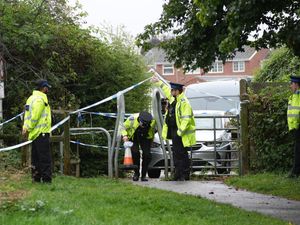 Supporting image for story: Girl, 12, appears in court charged with killing pensioner in park