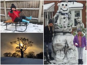Supporting image for story: Snow is falling, all around us! Send us your snaps!
