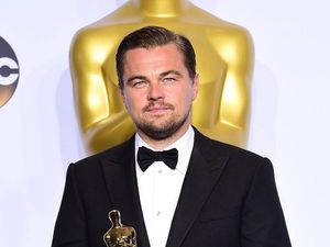 Supporting image for story