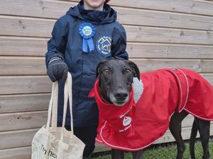 Supporting image for story: Freddy’s paw-some journey as Home Run Hounds’ youngest volunteer