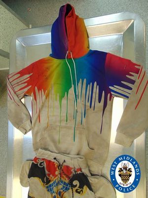 Supporting image for story