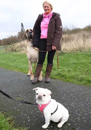 Presley fears this pint-sized terror