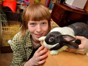 Supporting image for story: Sky's the limit for Telford animal rescue service 