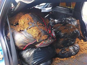 The large haul of tobacco was contained in bin bags.