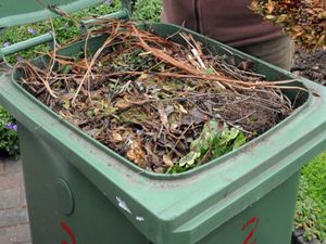 Supporting image for story: Garden waste collections to take longer, Sandwell householders told