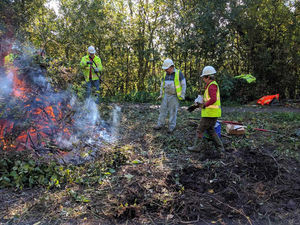 Supporting image for story: Phil Gillam: Breathing new life into the ghost of a canal
