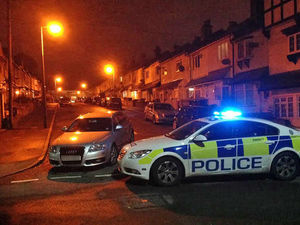 Supporting image for story: Man in court over Bearwood danger dogs claim