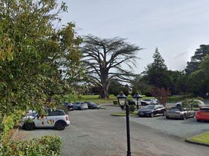 The cedar tree at Rowton Castle. Photo: Google.