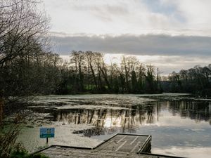 Supporting image for story: Free guides to Shropshire beauty spots launched in scheme to boost wellbeing